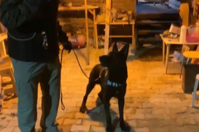 Bağ evindeki uyuşturucu düzeneğini 'Tony' ortaya çıkardı