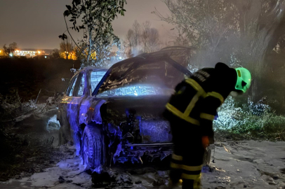 Park halindeki otomobil alev topuna döndü