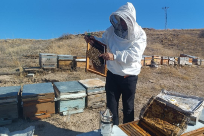 Kışa hazırlanan üreticiden sahte bal uyarısı