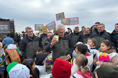 Harmancık'ta yanan 4 bin 256 hektar alan ağaçlandırılıyor