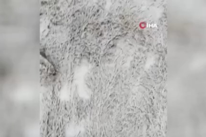 Uludağ'da kar yağışı etkisini sürdürüyor