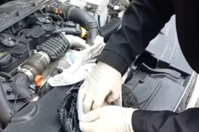 92 kilo bonzai hammaddesi taşıyan 2 şüpheli gözaltına alındı