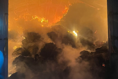 Sabaha kadar süren yangında çiftlik kül oldu