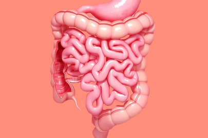 Bağırsak sağlığı, uzun yaşam üzerinde belirleyici rol oynuyor