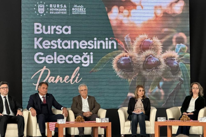 Bursa kestanesinin geleceği konuşuldu