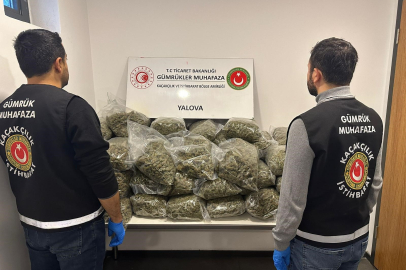 Fransa'dan Yalova'ya gemiyle gelen tırda 37 kilo uyuşturucu ele geçirildi