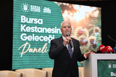 Bursa kestanesine Büyükşehir’den destek