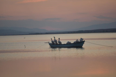 Karacabey'de çeltik ekimi yasaklandı