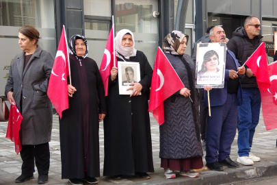 Vanlı annelerin evlat nöbeti 114'üncü haftasında