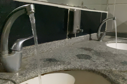 Salmonella enfeksiyonuna karşı altın kuralları uzmanı açıkladı