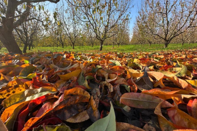 Bursa'da kartpostallık görüntü