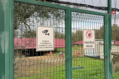 "Çoban İsa" figürünün keşfedildiği lahit tarlası gece gündüz korunuyor