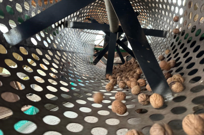 Dönümü 500 bin liraya ulaşan ceviz bahçelerine yatırım yapıyorlar