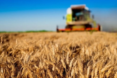 Tarım-GFE yıllık yüzde 33,66 arttı