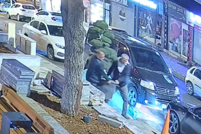 Bu da ağaç hırsızlığı: Parktaki ağacı araçla çaldılar