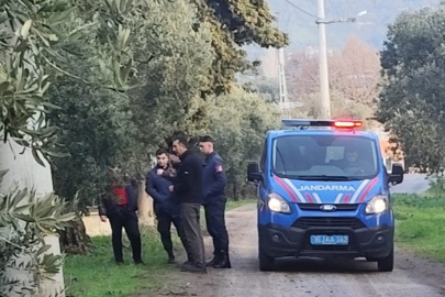 Bursa'da  zeytinleri dalından çaldılar