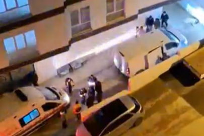 Demirtaş'ta başıboş köpek dehşet: 3 kişi yaralandı