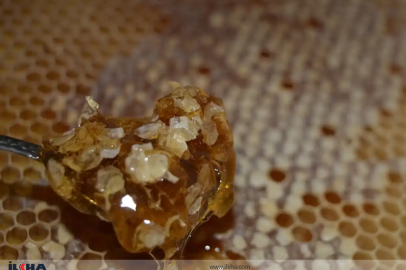 Balın verimi ve kalitesi uzaydan takip edilecek