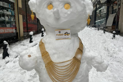 En 'değerli' kardan gelin