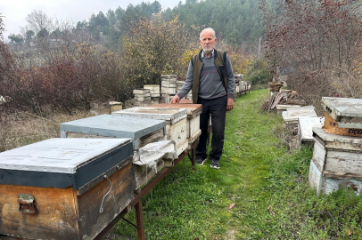 Zirai ilaç yüzünden milyonlarca arısı kovana dönemeden öldü