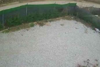 Bursa'da direksiyon hakimiyetini kaybeden sürücü ölümden böyle döndü