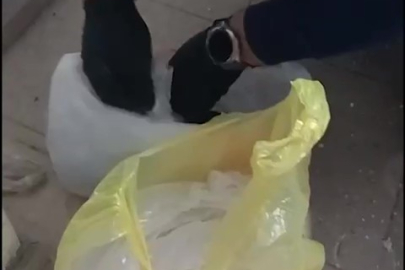 Zehir tacirleri uyuşturucuyu pamuklara emdirerek satmaya çalıştı