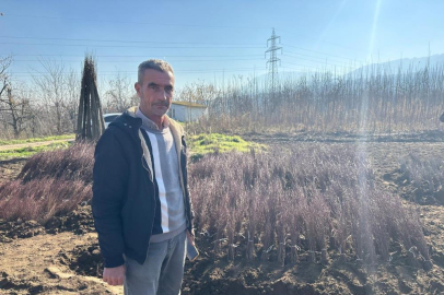 Kurulan her meyve bahçesinde "Bursa" imzası var