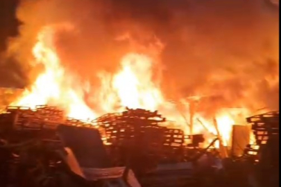 Bursa'da palet fabrikasında yangın