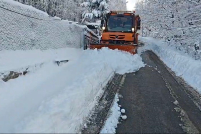 Osmangazi’de tuzlama seferberliği