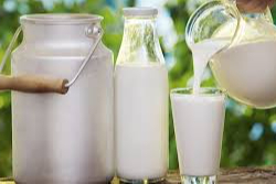 Ticari süt işletmelerince 863 bin 651 ton inek sütü toplandı