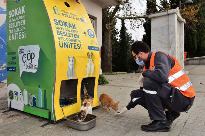 Yıldırım Belediyesi'nden sokak hayvanlarına sıcak yuva