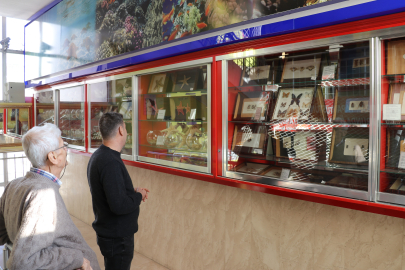 Bir yumurta ile başladığı biyoloji merakını müzeye dönüştürdü