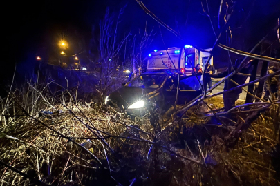Kontrolden çıkan otomobil tarlaya girdi