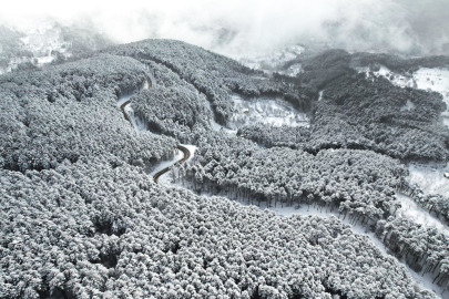 Uludağ'ın beyaza bürünen virajları mest etti