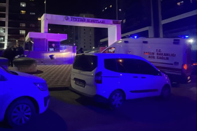 Kız kardeşini öldürdü, annesini ağır yaralayıp intihar etti