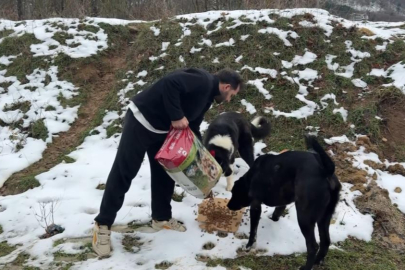 Uludağ'da köpeklerin imdadına hayvanseverler yetişti