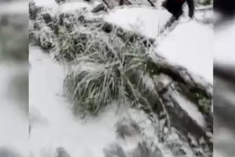 Karlı yokuş kazaya sebep oldu