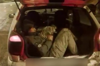 Durdurulan otomobilden 5 kaçak göçmen çıktı