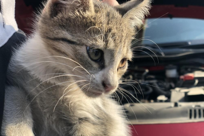 ‘Kontağı çevirmeden kaputa vurun’ uyarısı