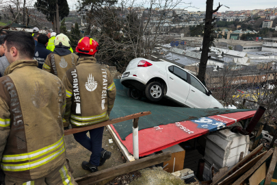 Vitesi karıştırdı, otomobil kamelyanın üzerine uçtu
