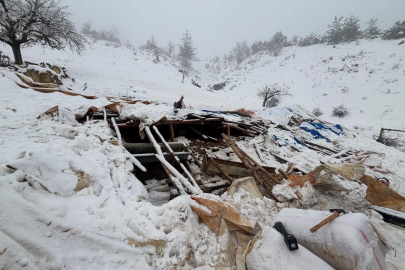 Karın ağırlığına dayanamayan ahırın çatısı çöktü