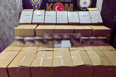 Suç örgütü ve kaçakçılık operasyonunda 12 tutuklama