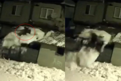 Çatıdaki karı temizlerken kar kütlesiyle zemine düştü