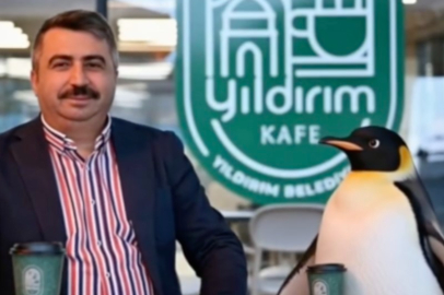Penguen sürüden ayrılırken belediyeler boş durmadı