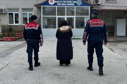 Terör örgütü üyesi yakalandı