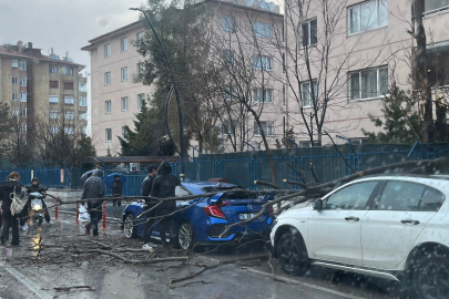 Fırtına ağaçları devirdi, araçlar hasar gördü