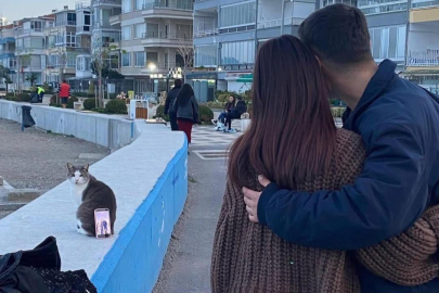 Mudanya sahilinde kedi “tripod” oldu