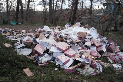 Ormanı çöplüğü çevirmişler