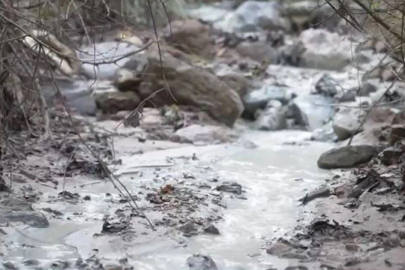 Bursa'da çevre felaketi...Binlerce ton kimyasal doğaya karıştı