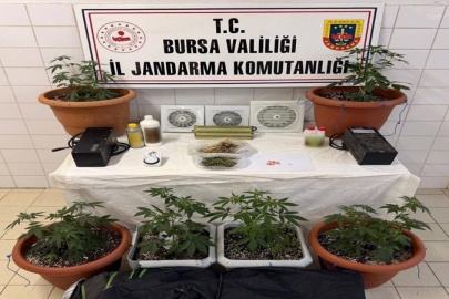Bursa'da uyuşturucu operasyonu: 1 tutuklama